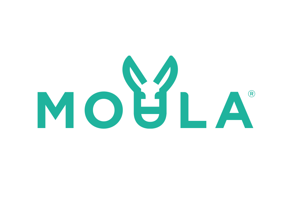 Moula logo teal